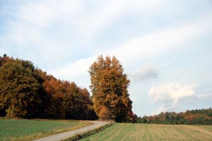 Landschaft um Fuglau