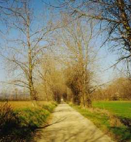 Zufahrtsstraße zum Vorlager