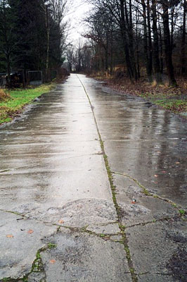 Betonstraße zum ehemaligen Lager Annastift