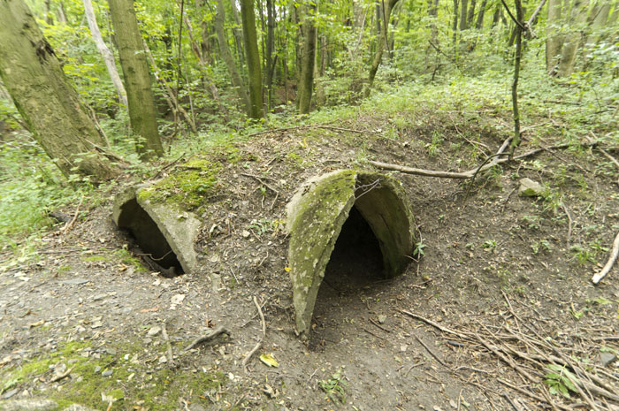 Luftschutzdeckungsgraben Cobenzl