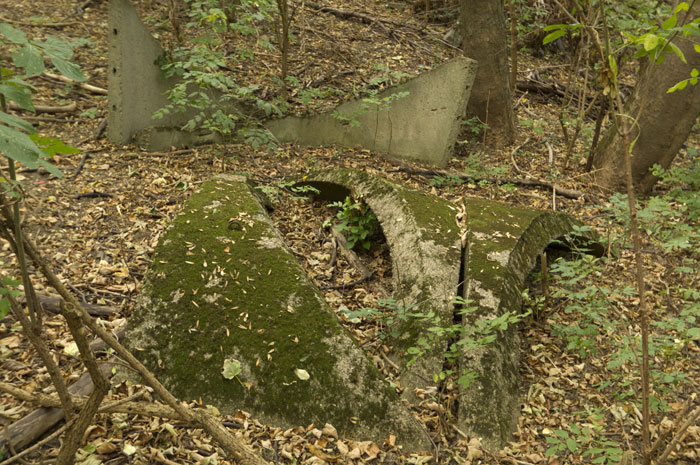 Luftschutzdeckungsgraben Cobenzl