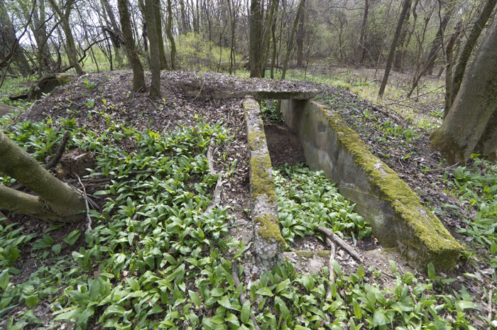 Luftschutzdeckungsgraben Möllersdorf