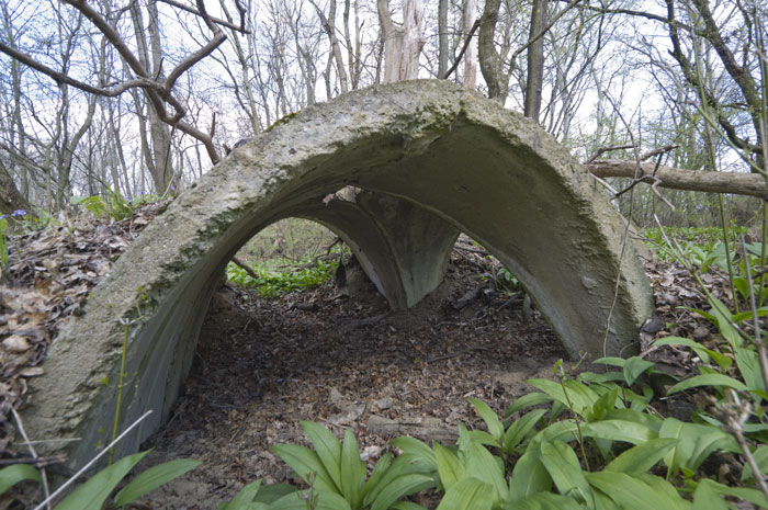 Luftschutzdeckungsgraben Möllersdorf