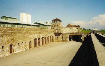 Eingangsbereich - Vorhof mit Garagen