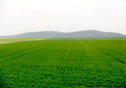 Der Panzergraben ist erst aus einiger Entfernung zu erkennen. Wer direkt daneben steht, hat kaum 
								eine Chance die Reste zu finden.