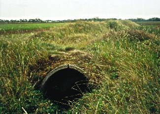 Einer von zumindest drei Unterständen aus Betonfertigteilen am nördlichen Platzrand. Dahinter 
							Reste eines Splitterschutzwalles