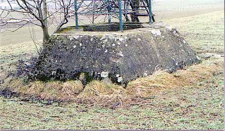 Nahaufnahme des Würzburg-Riese-Fundaments