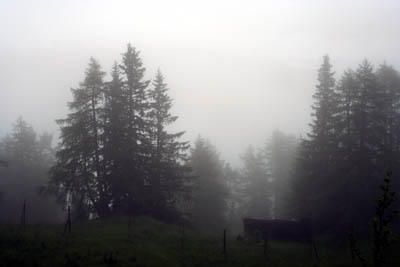 Im Nebel liegt das umgefallene Trafohäuschen