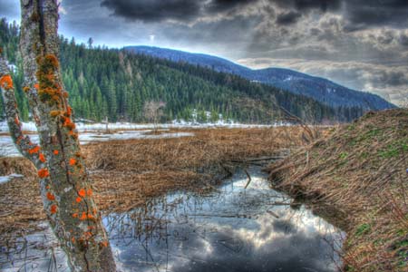 Der Seetaler See im Frühjahr