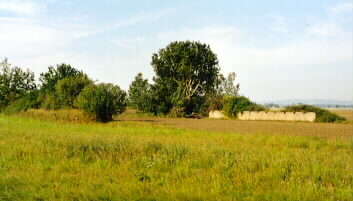 Hangar beim nördlichen Flugfeld. Die Betonbodenplatte und die Dachkonstruktion sind nicht erhalten