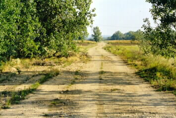 Taxiway zum nördlichen Flugfeld