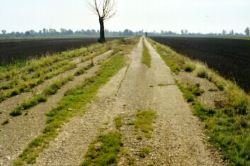 Taxiway zum nördlichen Flugfeld