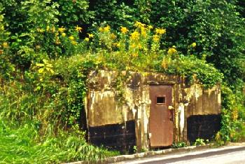 Ein ehemaliger Luftschutzbunker hinter dem Kugellagerwerk